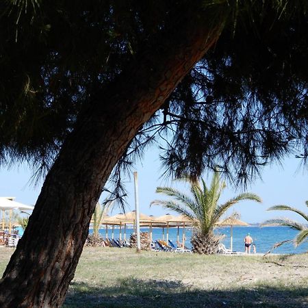Sunshine Apartment Paralia Dionysiou Bagian luar foto