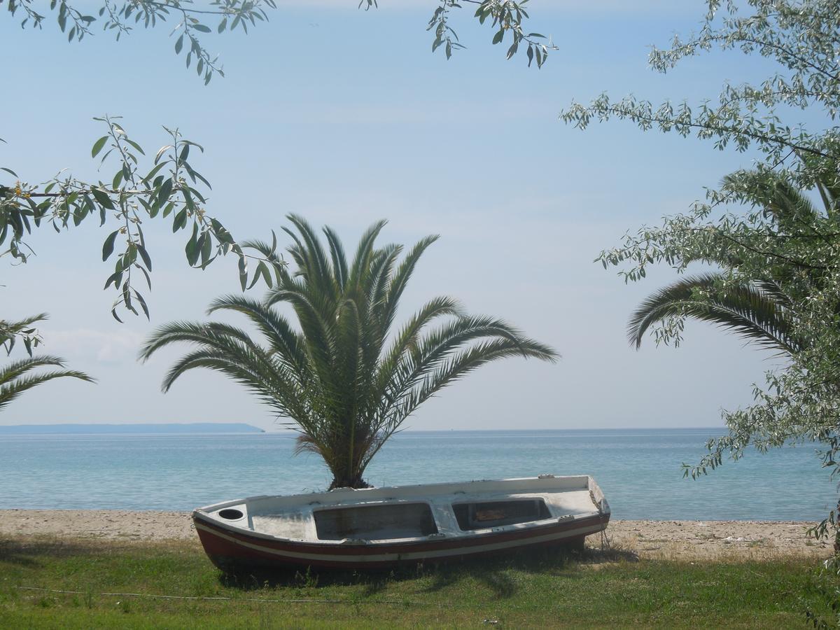 Sunshine Apartment Paralia Dionysiou Bagian luar foto