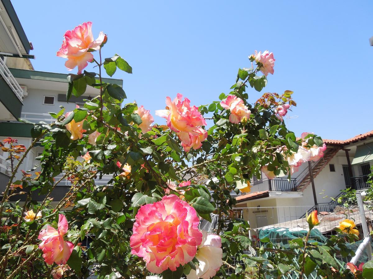 Sunshine Apartment Paralia Dionysiou Bagian luar foto