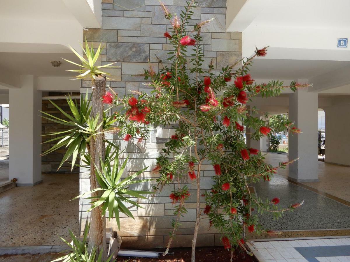 Sunshine Apartment Paralia Dionysiou Bagian luar foto